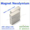 Magnet Neodymium Lekdood