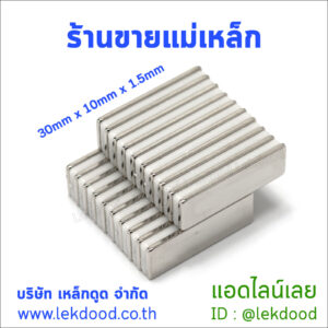 ร้านขายแม่เหล็ก Lekdood