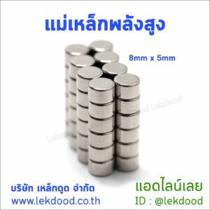แม่เหล็กพลังสูง Lekdood