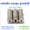 แม่เหล็กแรงสูง รูเทเปอร์ lekdood