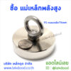 แม่เหล็กพลังสูง lekdood