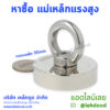 หาซื้อแม่เหล็กแรงสูง