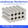 แม่เหล็กแรงสูง neodymium Lekdood